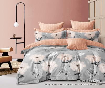 Комплект постельного белья "диз. 022 (524)"