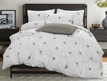 Комплект постельного белья "6658.01"