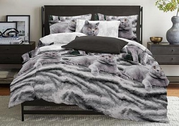 Комплект постельного белья "Британцы 2"